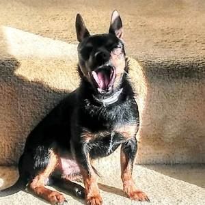 Meet your Posher, Jimmy